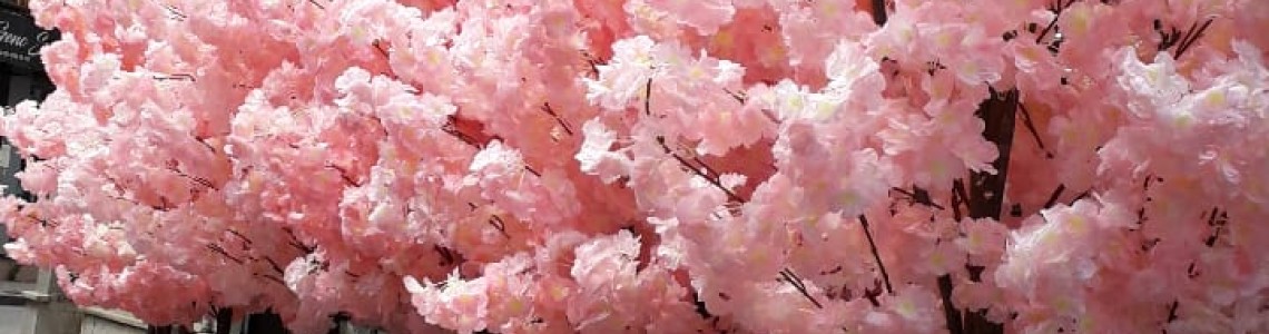 Yalova Organizasyon Malzemeleri